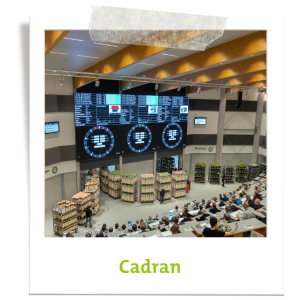 Acheter des fleurs et des plantes