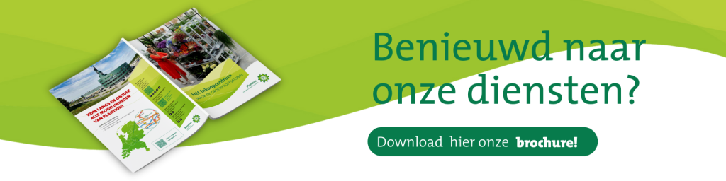 plantenveiling brochure