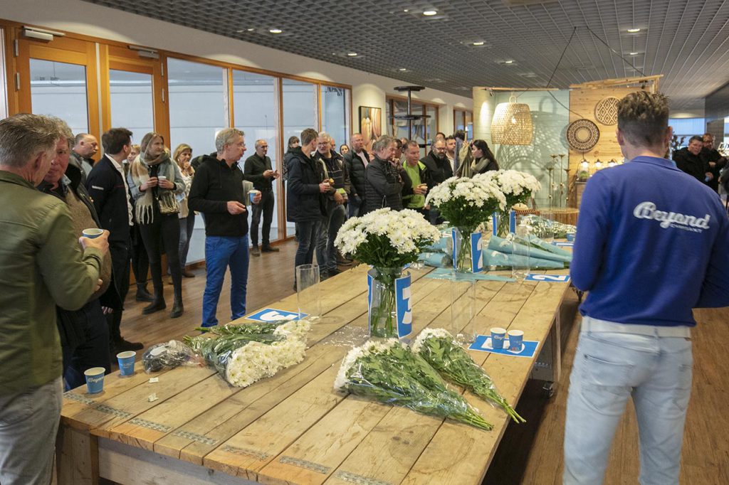 Kweker Beyond Chrysant verrast bloemist met Flower Circus