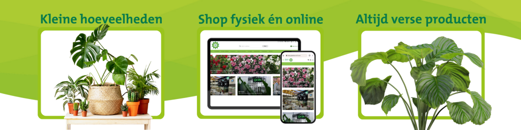 plantenveiling voordelen