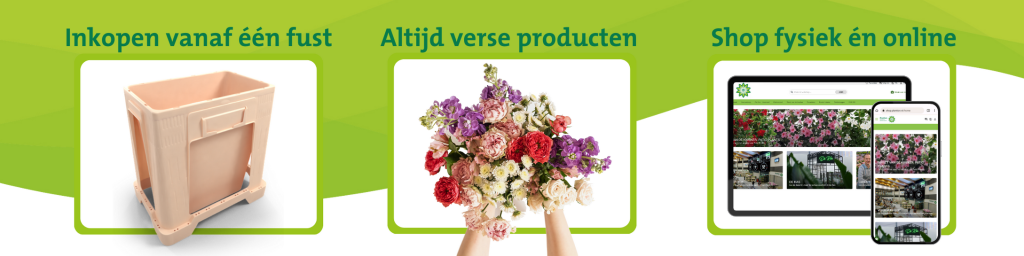 bloemenveiling brochure