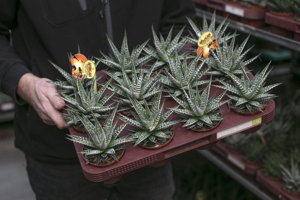 Spaar het milieu, gebruik meermalig fust