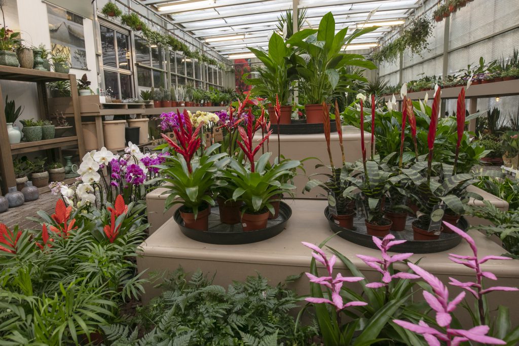 Tuincentra aan het woord