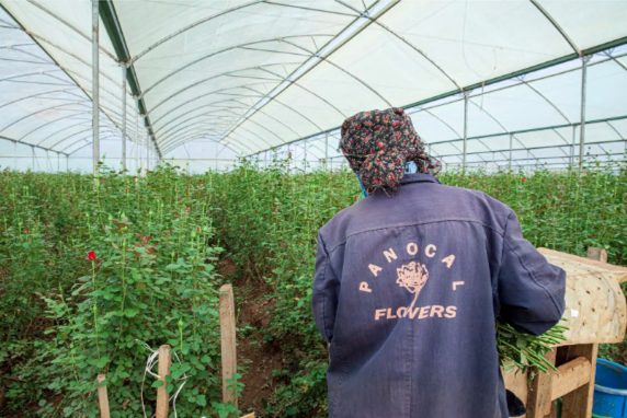 Nieuwe aanvoerder uitgelicht