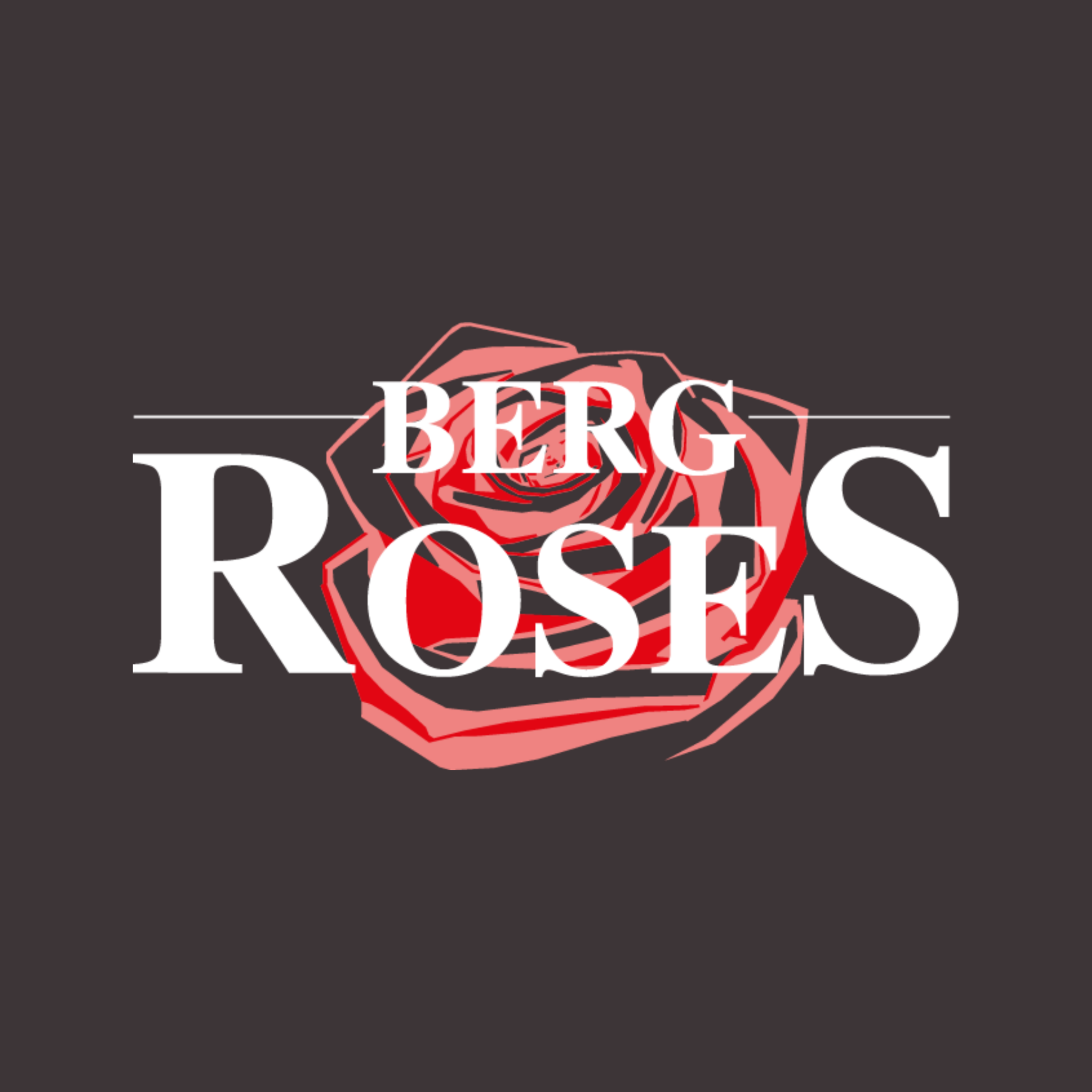 Foto van Van den Berg Roses