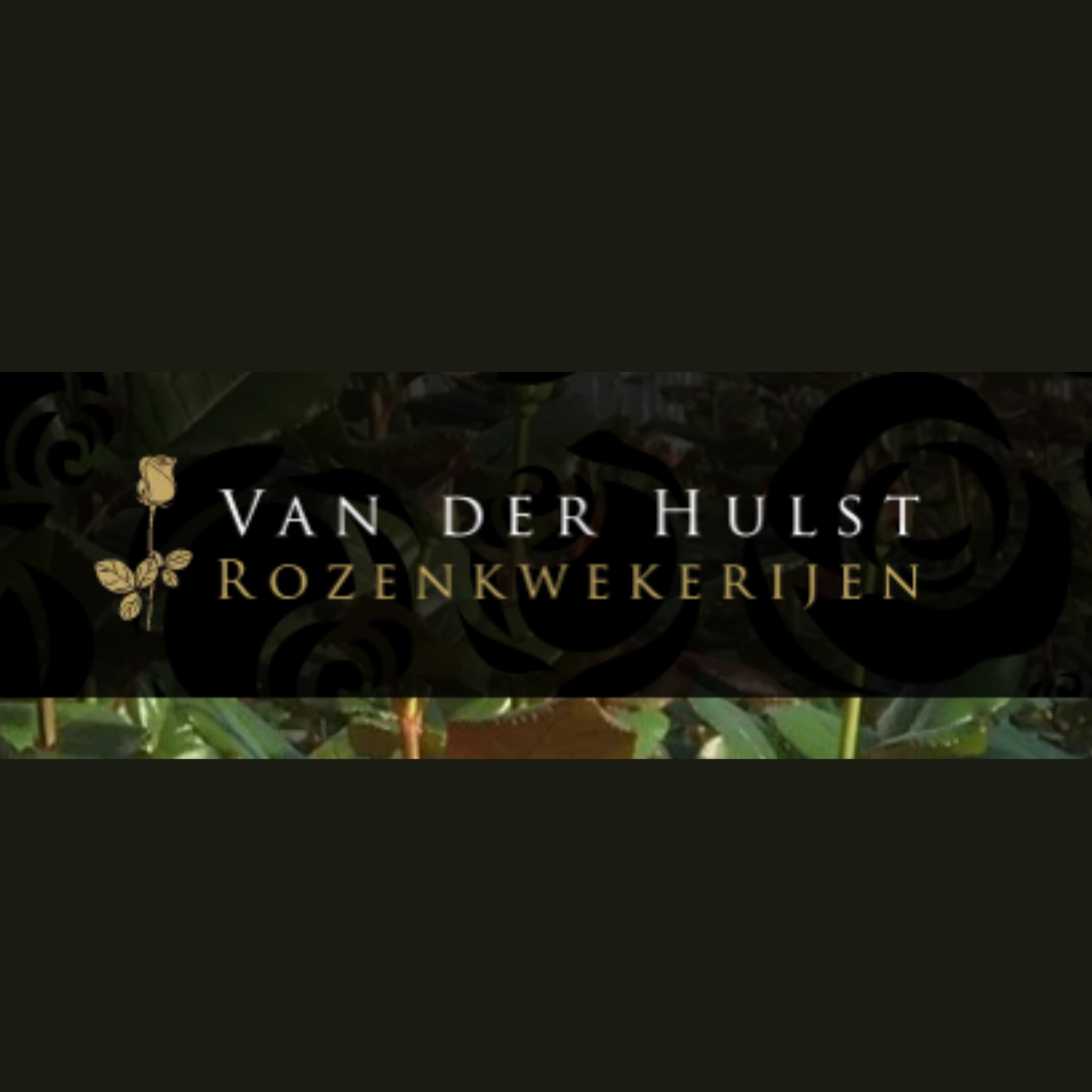 Foto van Van der Hulst Rozenkwekerijen