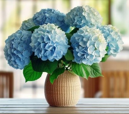 Foto van Hydrangea