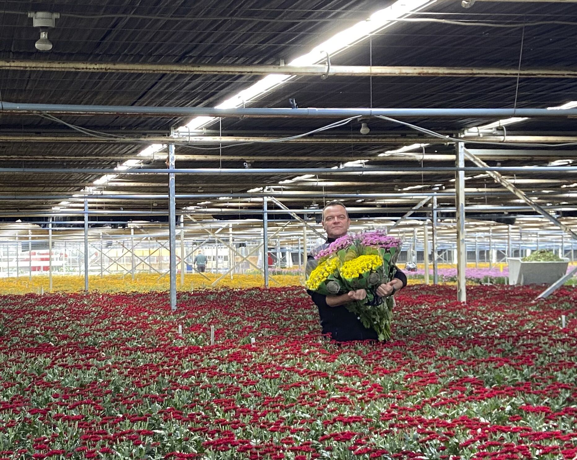 Foto van Prima Agro BV