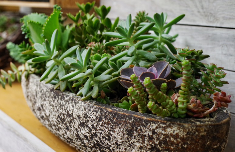 Foto van Arrangementen