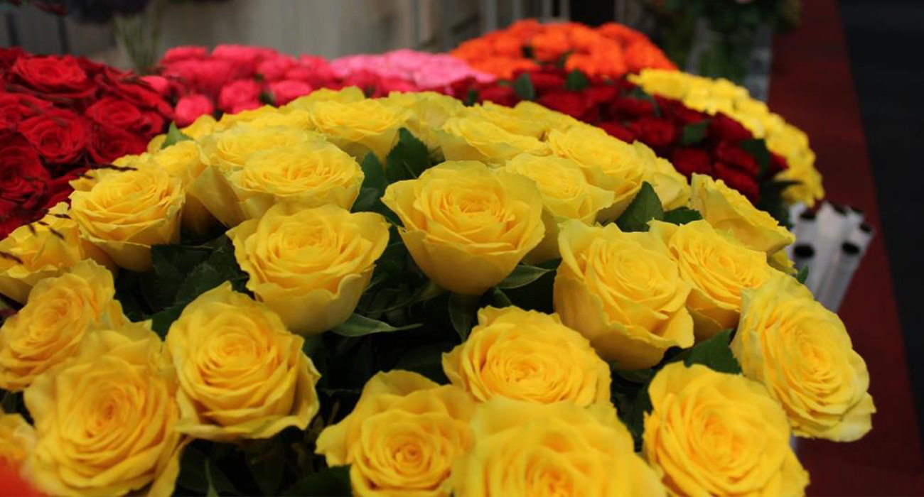 Foto van Import Rozen