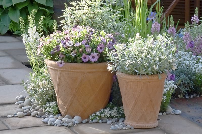 Foto van Huis en Tuin Deco