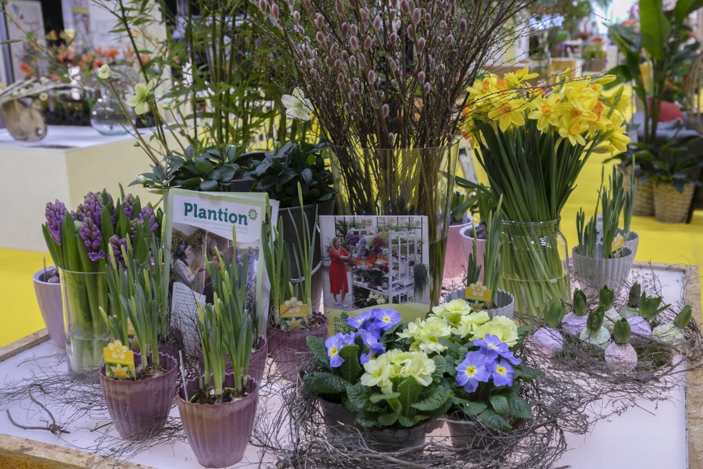 Plantion presenteert vernieuwende inkoopconcepten op IPM Essen