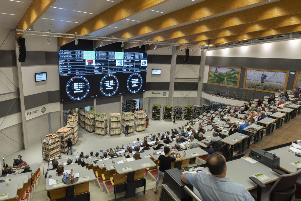 Plantion opent hub in Antwerpen voor Belgische inkopers