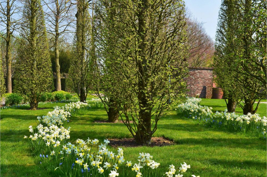 Lente in Bloemenpark Appeltern