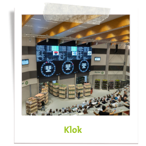 Inkopen bloemen en planten