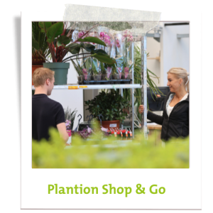 Inkopen bloemen en planten