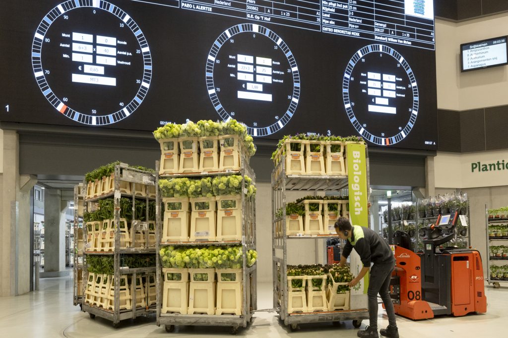 Start biologische veilgroep