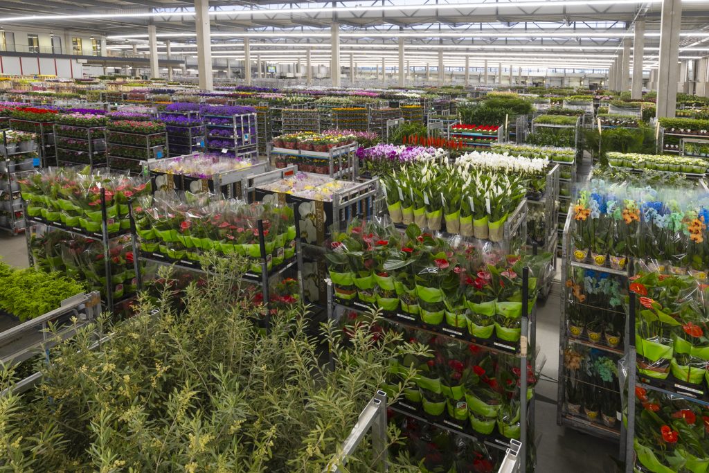 Aantrekkelijk voor de ondernemende aanvoerder en inkoper