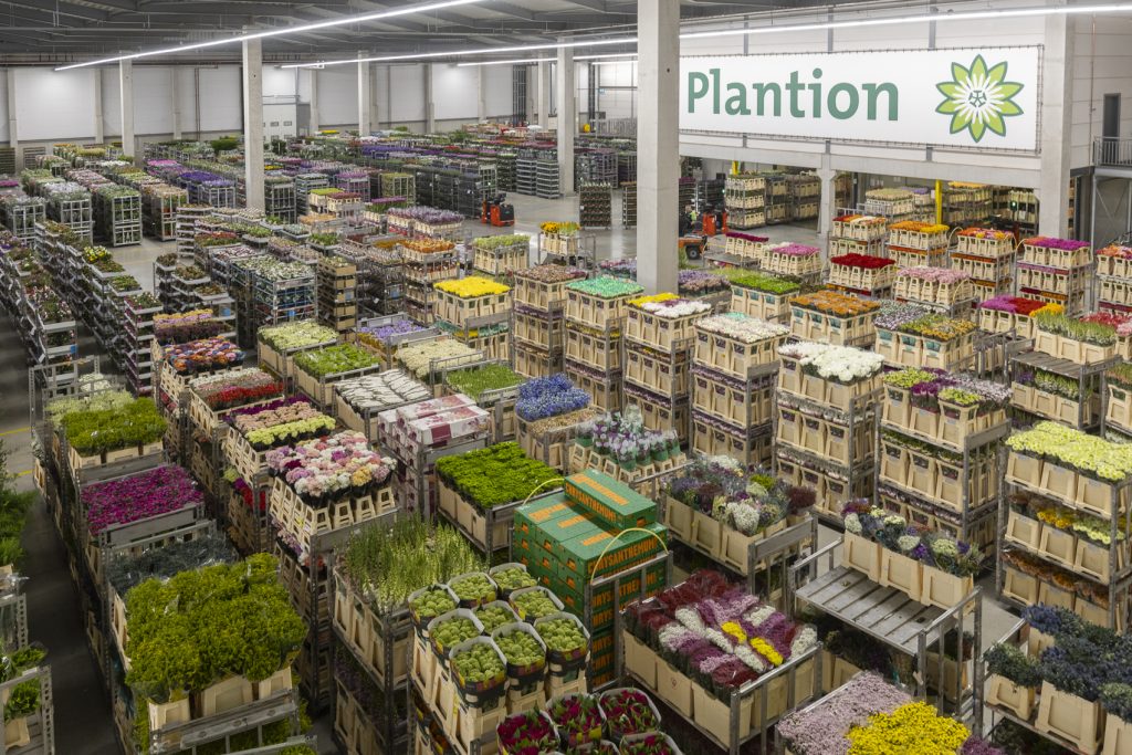 Aantrekkelijk voor de ondernemende aanvoerder en inkoper