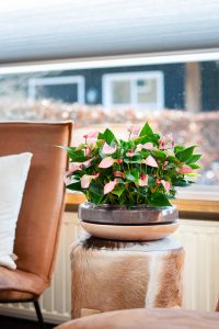 Kleur in het interieur