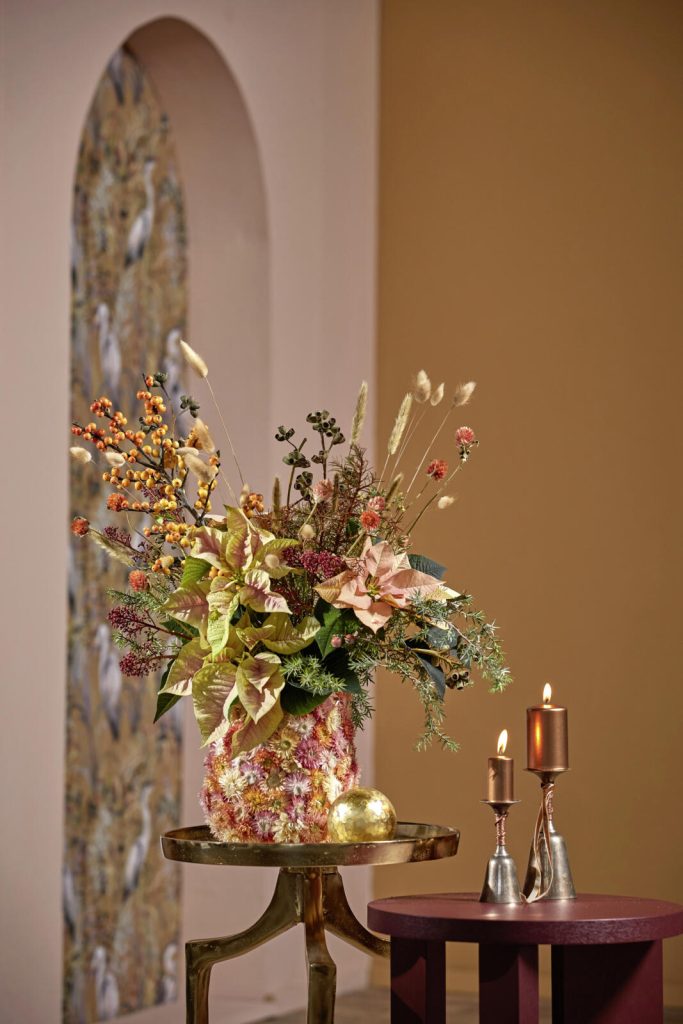 Promotiecampagne Poinsettia